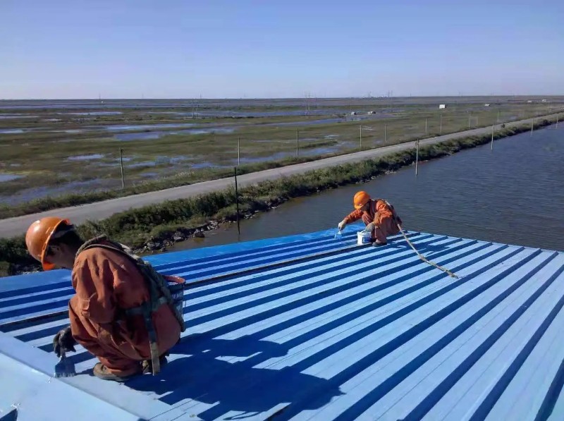 舞阳彩钢瓦屋面防腐翻新